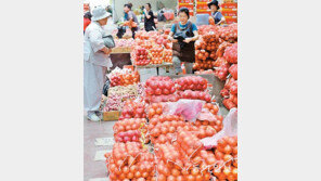 양파 고르는 시민