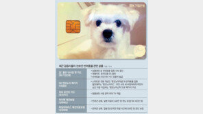 [김성모 기자의 써봤어요]애견 진료-미용때 10% 할인 혜택