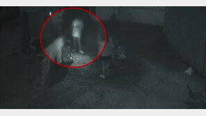 ‘소년법 개정’ 목소리…전문가 “청소년 재범률, 성인의 2배 넘어”