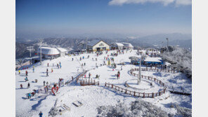 휘닉스 스노우파크, 17/18 프리올림픽 시즌권 출시