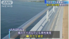 ‘프러포즈’ 승낙에 들뜬  男, 다리 난간 넘었다가 바다 추락해 사망 