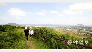 ‘놀멍 쉬멍 걸으멍’ 올레길, 몸과 마음 치유해줬네