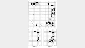 [바둑]알파고 vs 알파고 특선보… 새롭다 vs 옹졸하다