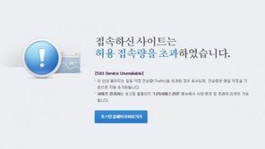 장윤주 남편 정승민의 ‘T브랜드’ 홈페이지 트래픽 초과로 마비