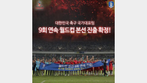 신태용호 ‘설레발 헹가래’에…“본선 진출 ‘당해’ 놓고” “레전드 방송될 뻔”