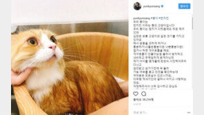 윤균상 “반려묘, 방치한 적 없어…욕설·비난 그만”