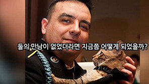 [대박! 이거 봤어?] 전쟁터에서 몰래 키운 고양이의 보은