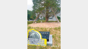 경남도청 ‘주목’의 운명 어떻게 되나