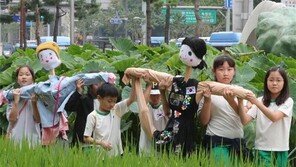 “허수아비야, 곡식을 부탁해”