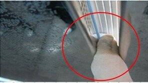 손가락 끼었는데 안 열리고 ‘탁’… 육교 승강기 안전 ‘빨간불’