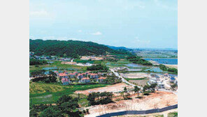 [화제의 분양현장]평택 ‘레이크힐타운’, 美軍기지 10분 거리 ‘렌털하우스’  