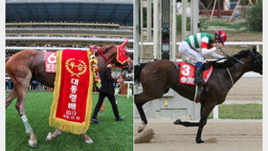 트리플나인, 디펜딩챔피언 크리솔라이트 꺾을까?