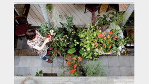 Bloom & Goute, Now 원조 강남스타일 블룸앤구떼 쉽게 배우기 5