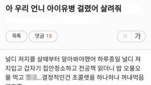 “언니가 아이유병에 걸렸다” 호소에 공감글 ‘폭주’…아이유병·이효리병 뭐길래?