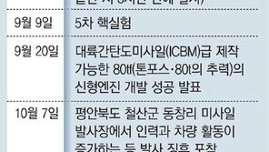 협상 일축한 트럼프 “군사옵션 쓰게되면 北에 슬픈 날 될것”