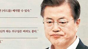 문재인 대통령 “사드 임시배치, 현 상황서 국민 지킬 최선 조치”