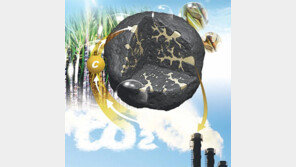 [토요기획]천덕꾸러기 취급 석탄, 첨단기술 만나 청정연료 대변신