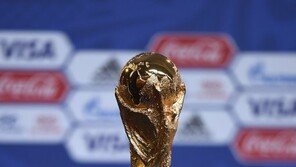 러시아월드컵 성공 기원 트로피 월드투어 스타트