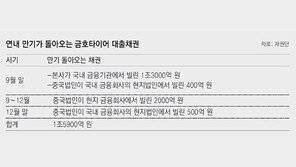 금호타이어 中법인 빚 ‘발등의 불’… 12일 자구안 고비