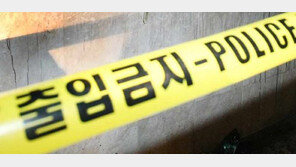 4세 6세 남매 숨진 채 발견, 범인은 ‘우울증’ 엄마…유서 보니?