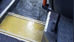 부산 유치원초·중·고 전 학교 휴교조치…180mm  쏟아져 부산 곳곳 침수