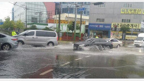장제원 “부산 사상지역 폭우…학장교차로·새벽시장 도로 침수”