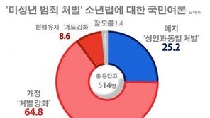 국민 90% “소년법 개정 또는 폐지해 처벌 강화해야”