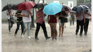 부산 폭우, “해상으로 북상하던 고온다습 기류, 처음 만난 육지에 폭우”