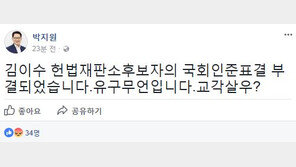 ‘국민의당’ 박지원 “김이수 부결, 유구무언…교각살우?”