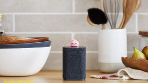 ‘카카오 미니’ 18일부터 예약판매