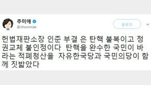추미애, 김이수 부결에 “적폐청산, 한국당·국민의당 함께 짓밟아”