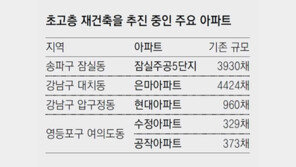 “우리도 초고층으로” 여의도-강남 들썩