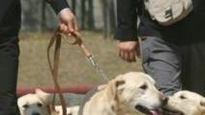 개 ‘목줄’ 때문에…60대 남성 중태