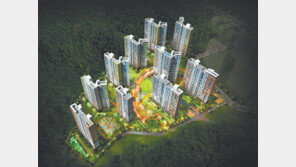 [화제의 분양현장]장현지구 내 첫 민간 분양 아파트…시흥 장현 리슈빌