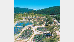 노근리평화공원 장미정원 15일 개원식