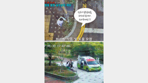 스마트기술 이용해 교통-방범-환경-시설 등 통합관리한다