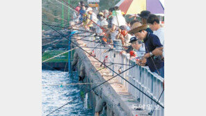 가을 바다낚시 즐기는 시민들