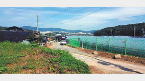 [화제의 분양현장]‘판교 위의 판교’ 고등지구 인접 그린벨트 분양 