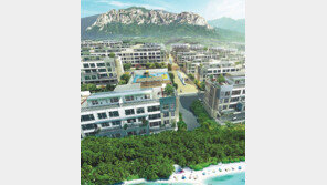 [화제의 분양현장]속초에서 처음 만나는 대단지 고품격 테라스하우스 