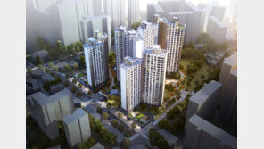 투자 수요 몰리는 비규제지역 평촌