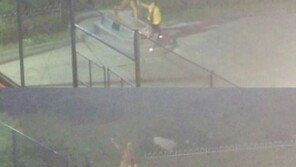 ‘6주기’ 故 최동원 동상 만지던 女…알고 보니 “무쇠팔 母”