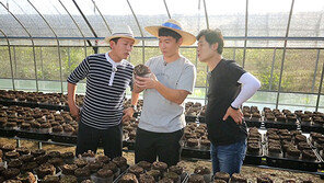 [오늘의 채널A] 착한 농부 이준근 씨의 친환경 표고버섯 재배법