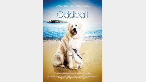 펭귄 지키는 개 이야기? 실화라고!