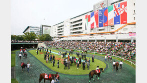 ‘PART1’ 가능성 본 한국경마 　　