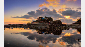 ‘서산 어리굴젓 축제’ 16일부터 한달간 열려