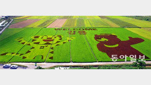 강릉 들판에 뜬 평창 마스코트 ‘수호랑-반다비’