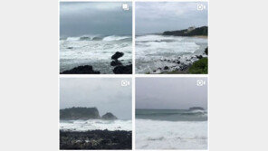 제18호 태풍 탈림, 제주 간접 영향…누리꾼 SNS 반응 보니