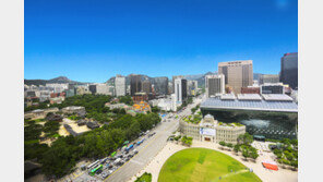 더 플라자, FIT(외국인자유여행객)과 디턴족 특화 패키지 론칭