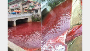 핏빛 하천에서 역한 피 냄새까지 ‘훅’…대체 무슨 일이?
