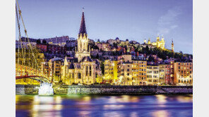 [여행, 나를 찾아서]천장서 바닥까지 통유리 발코니 선실… 유럽의 파노라마 펼쳐진다 